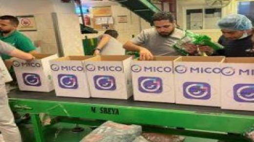 11 ألف جولة تفتيش تضبط 770 مخالفة